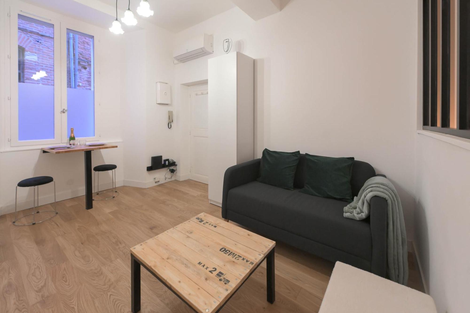 Appartement T1 Bis L'Enfilade Albi Exterior photo